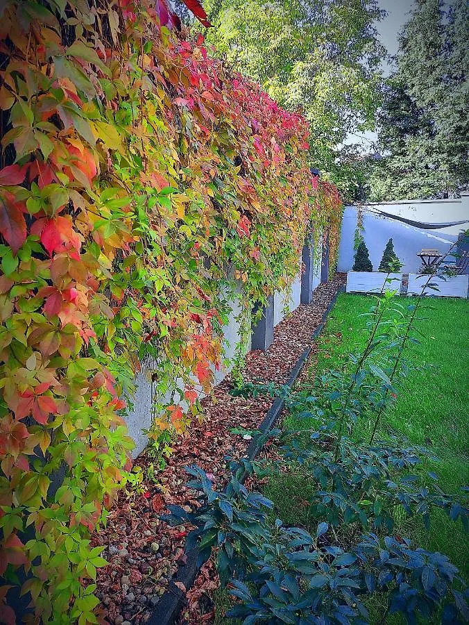 La Petite B&B Gdańsk Pologne